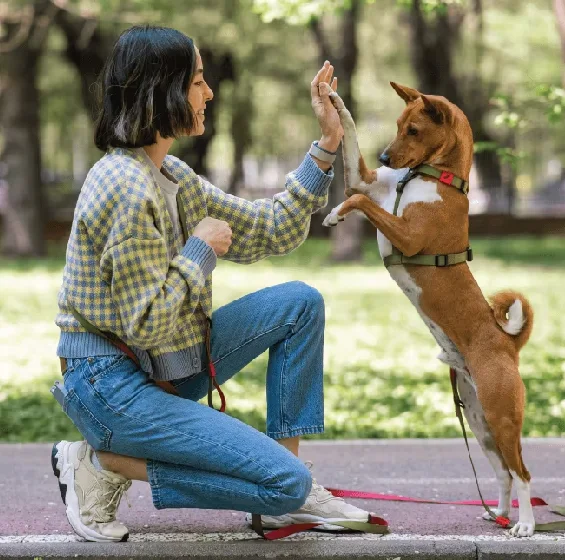 Pet Park